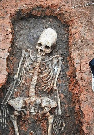 2AE0FD0F00000578-3176210-image-a-123_1438010857354 3