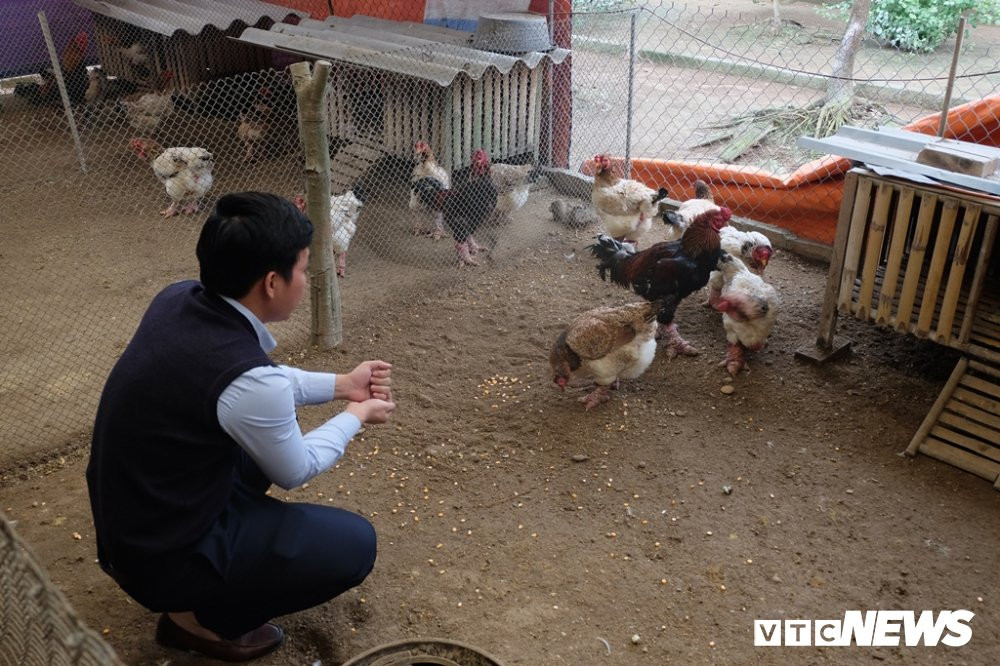 ga dong tao 30 trieu (12) 16