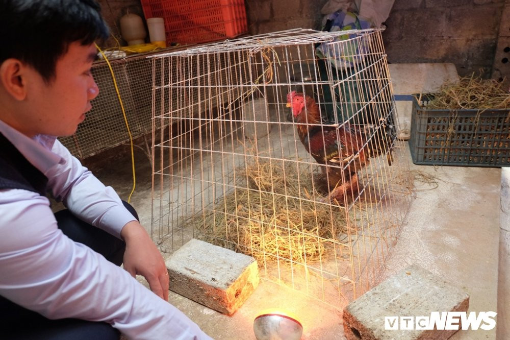 ga dong tao 30 trieu.JPG 5