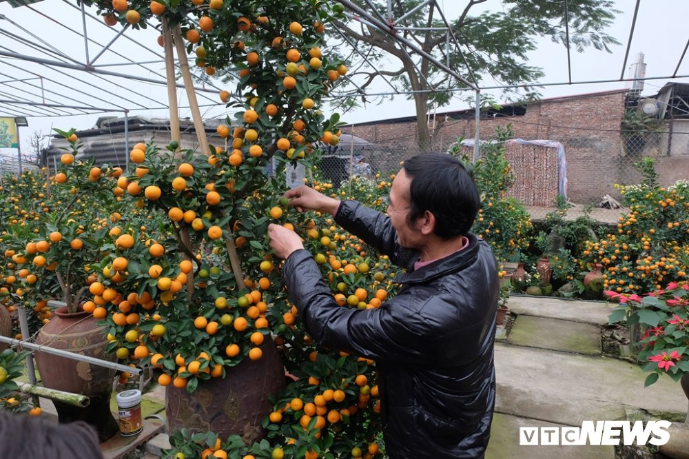 quat canh phuc vu tet (2) 13