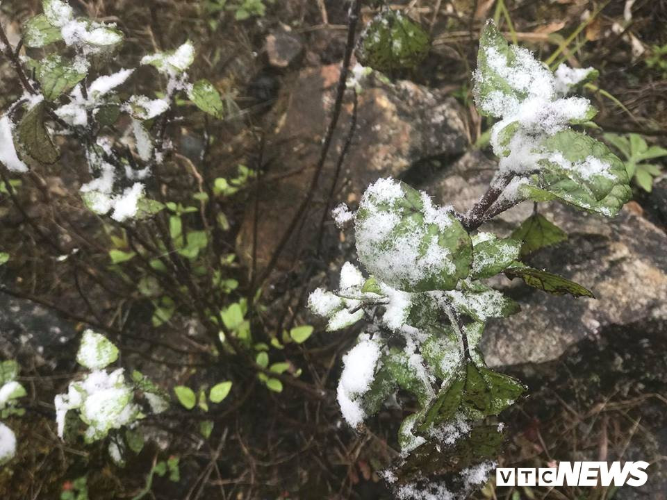 27654611_1777989658938172_5672460467719239047_n