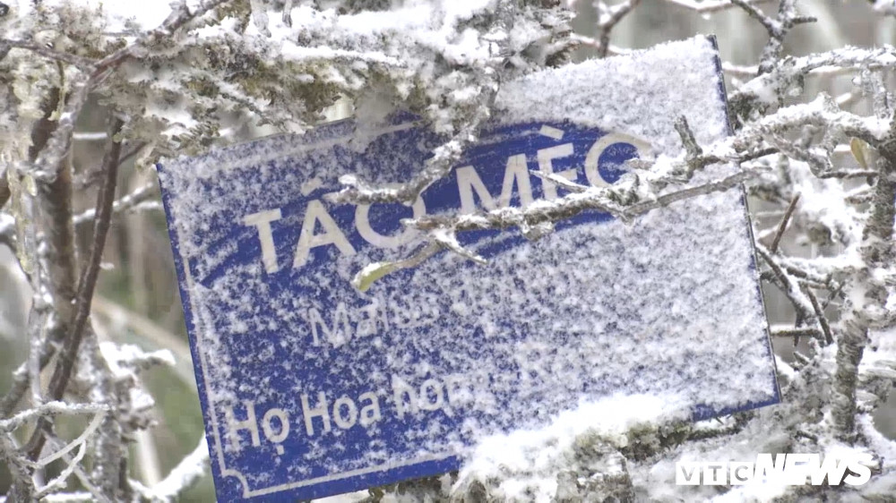 Sequence 02.Still017 12