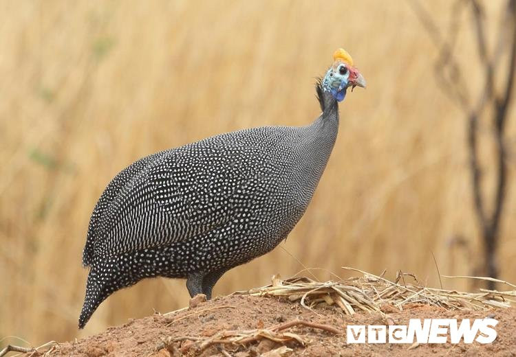 20170914162706-ga-sao-0702491 11