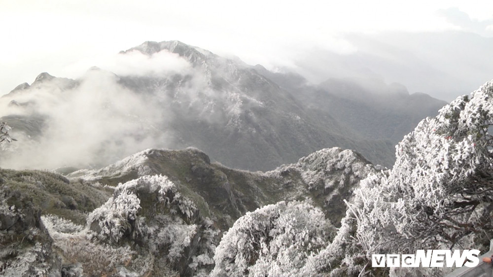 Bang tuyet Fanxipang10 11