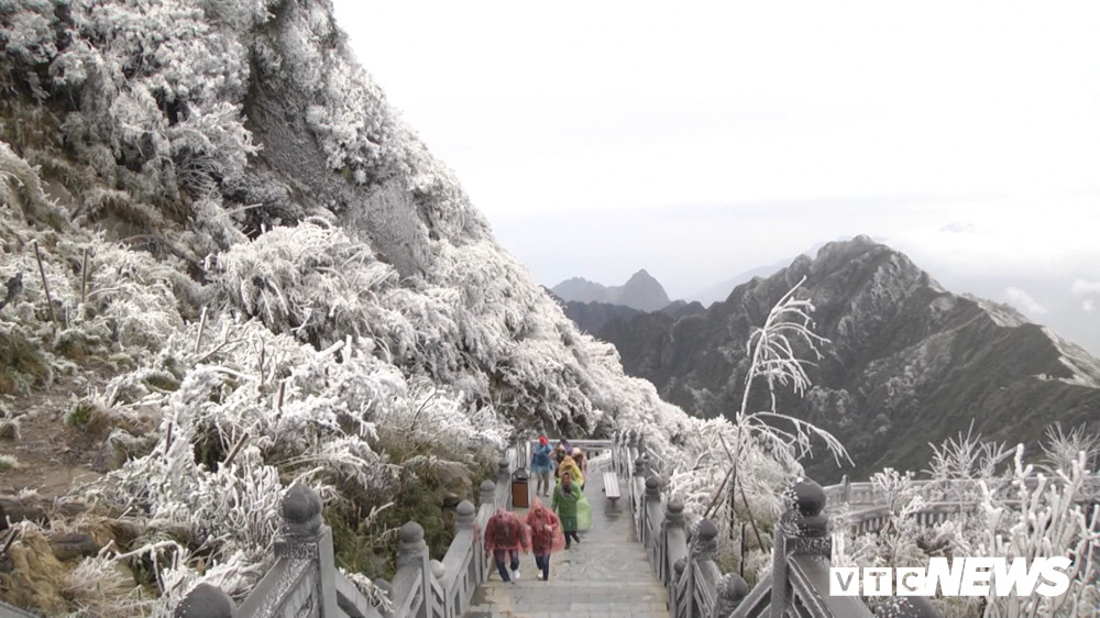 Bang tuyet Fanxipang12 13