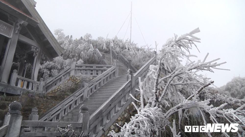 Bang tuyet Fanxipang5 6