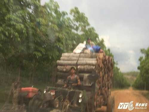 13521676_205224053208343_979317764_n-1539