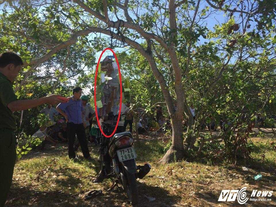 13817196_221603694903712_743403836_n