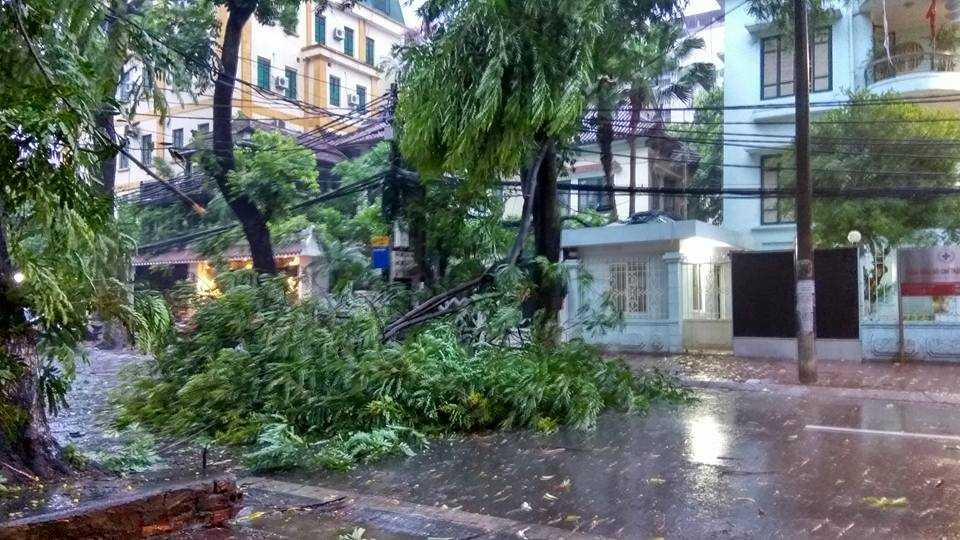 13645270_1767485066842613_2435641762049569978_n