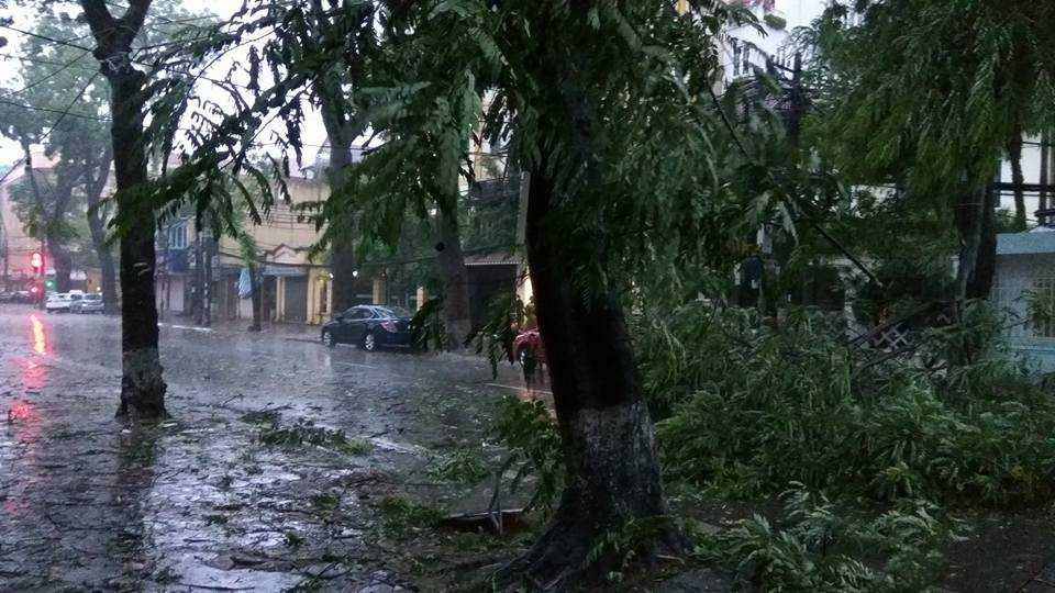 13669218_1767485043509282_4570080029603312480_n