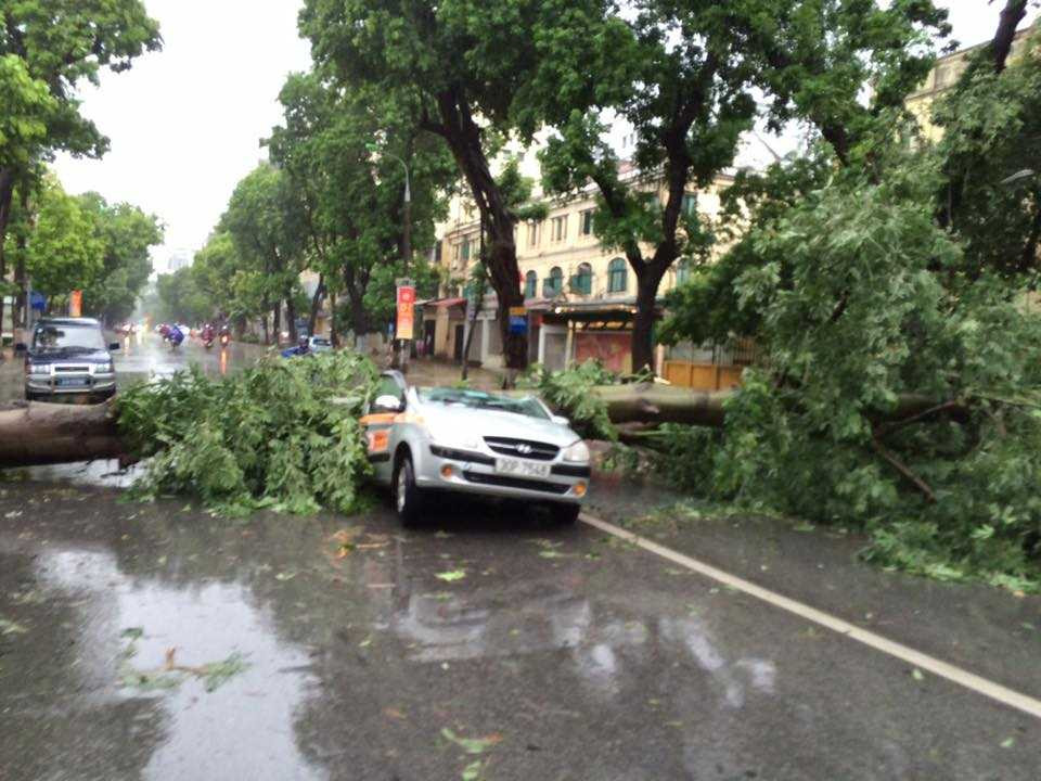 13879291_10208283819206571_1638998836065827582_n