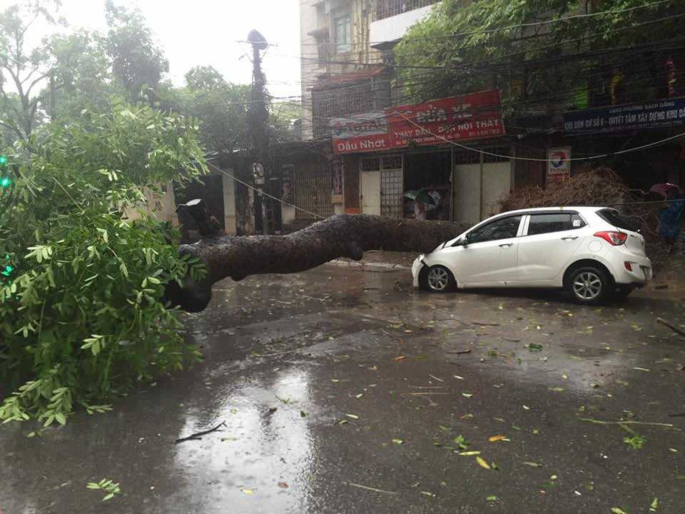 Ngã 4 Lê Thánh Tông