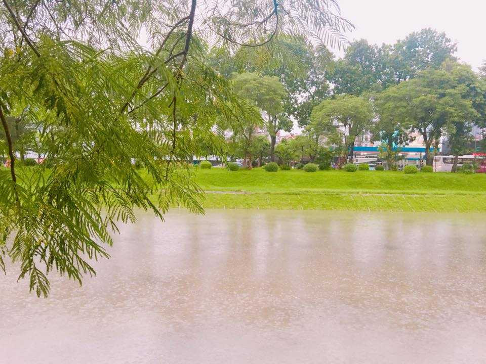 14040040_540990186100774_5363950643247273018_n