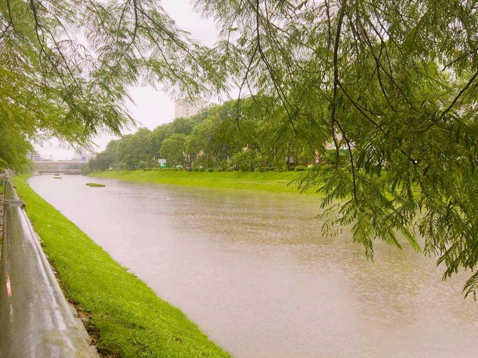 14095833_540990172767442_3331942077327927696_n