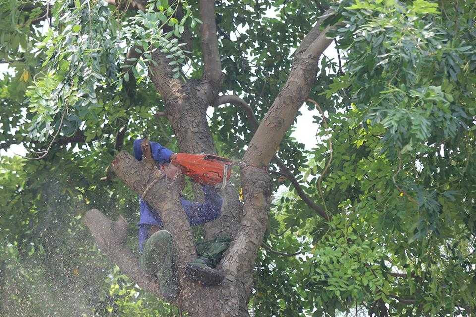 14556004_944971665647578_310781731_n