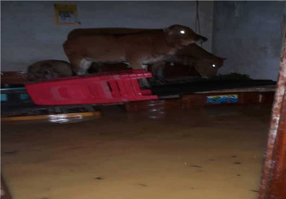 14656252_1136275669759944_1379861473661012937_n