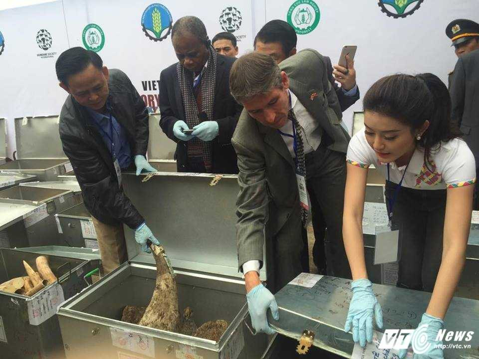 15057915_1102638863184800_1567203339_n