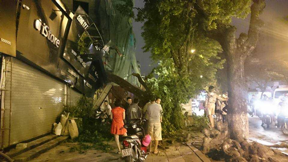 15179198_690014711162537_