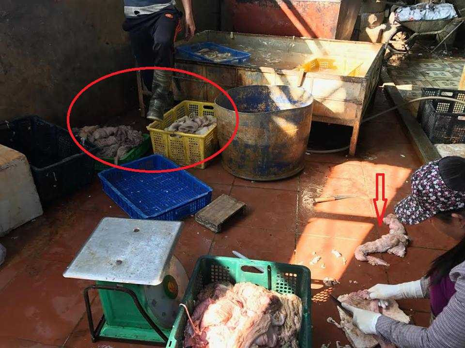 15435919_1447107161973856_580918270_n