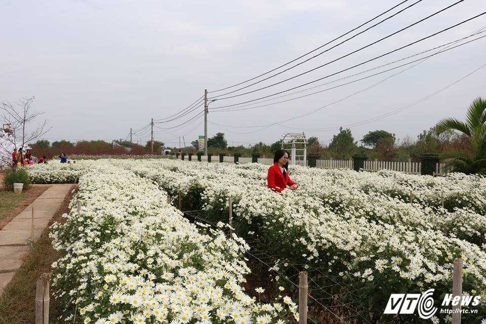 15416138_980957848675514_1668962784_n