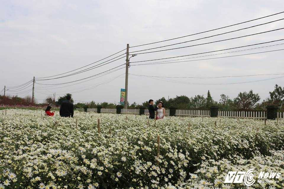 15435935_980957338675565_570785211_n