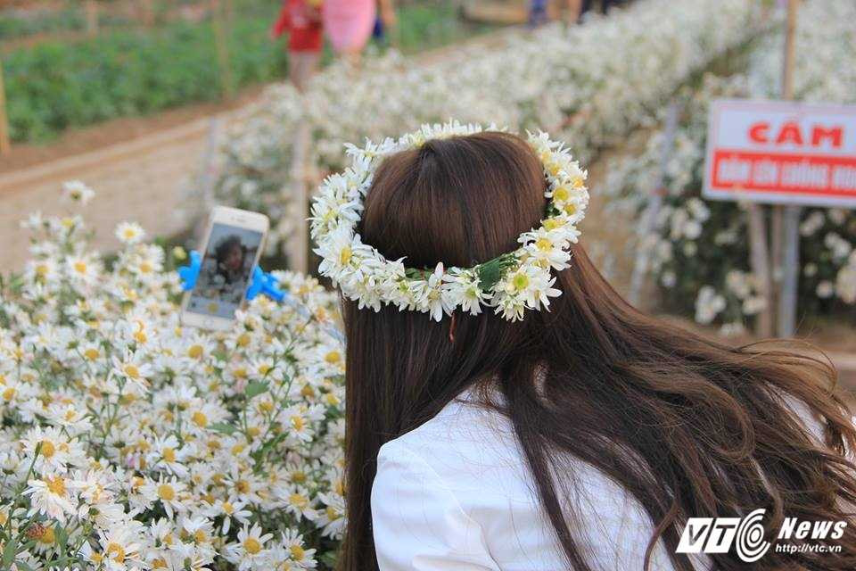 15497602_1197399703663577_1807754358_n