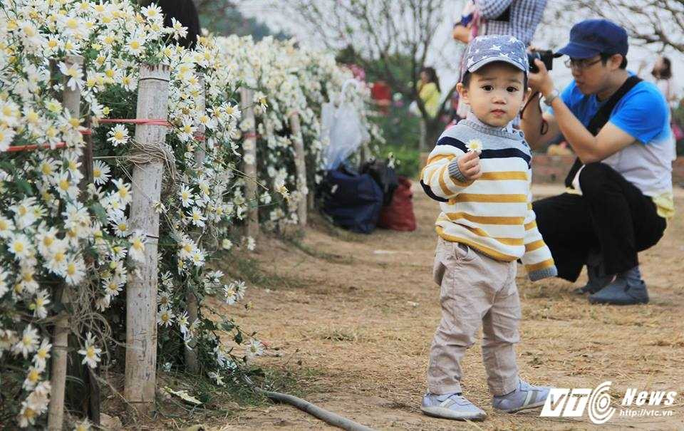 15497652_1197402326996648_555104072_n