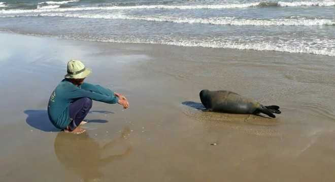 15193598_743674642447448_5295509534679985647_n