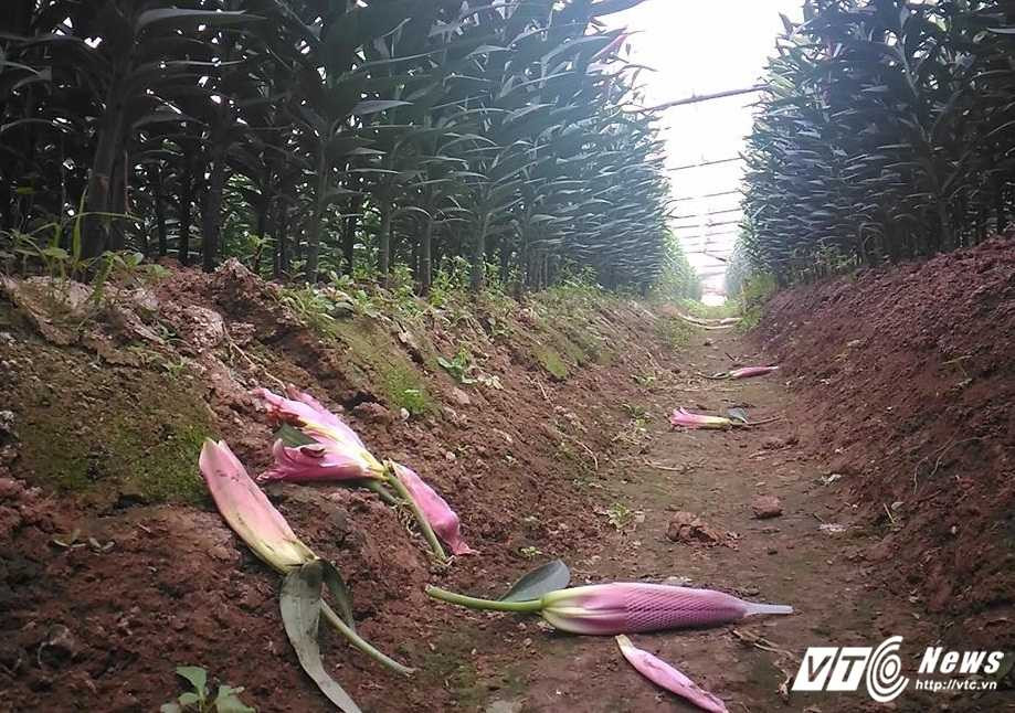 15878949_998276700276962_1395792071_n