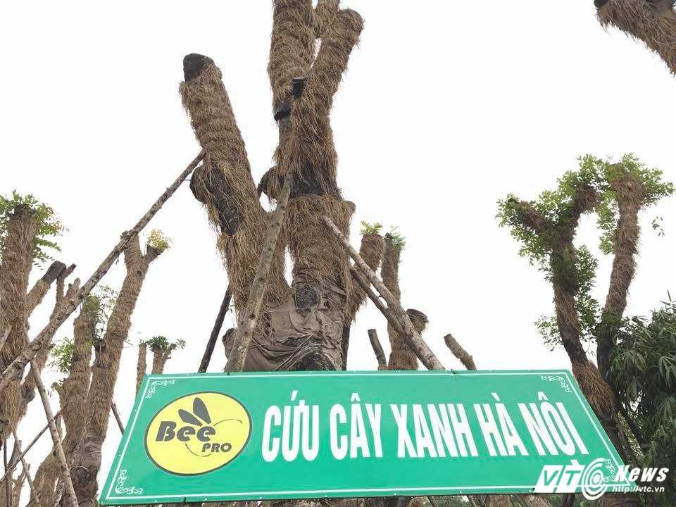 17190371_1232935133489610_1038736519181054132_n