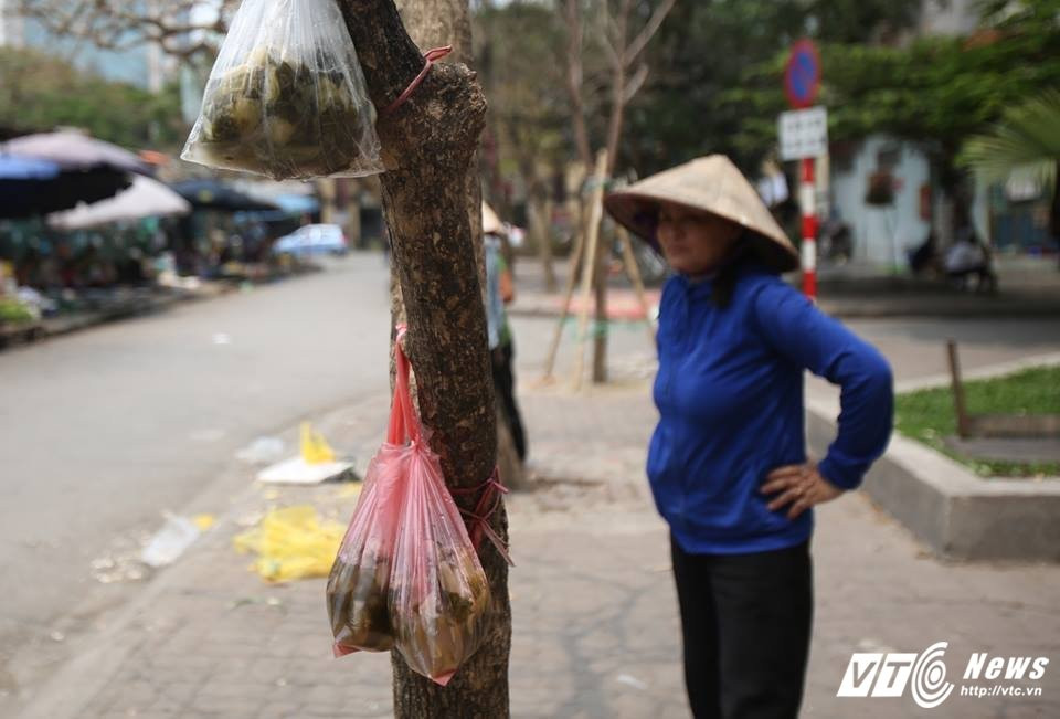 17506427_1451279274882711_1569355456_n