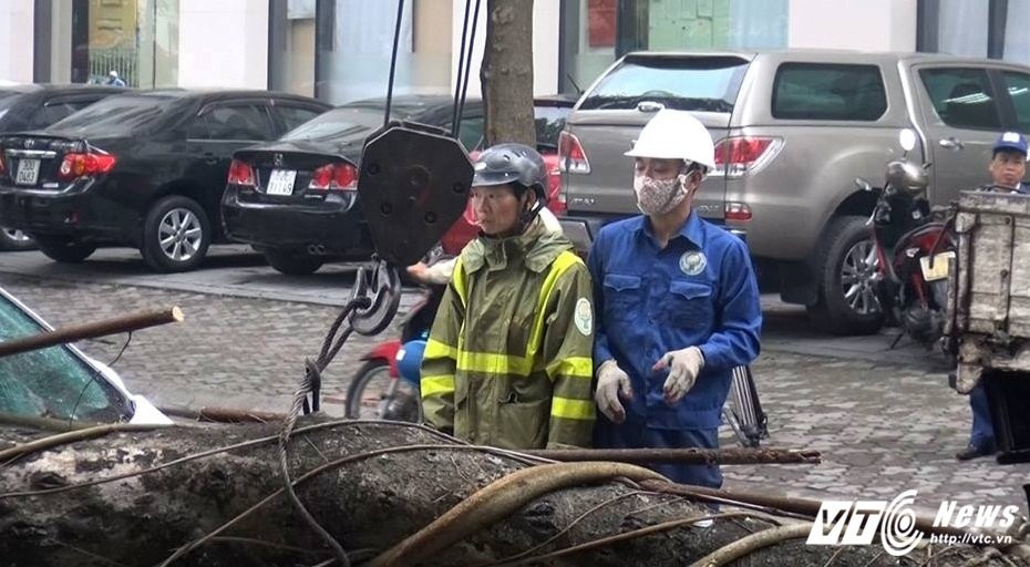 17553573_1011911155578747_8748083167015028884_n