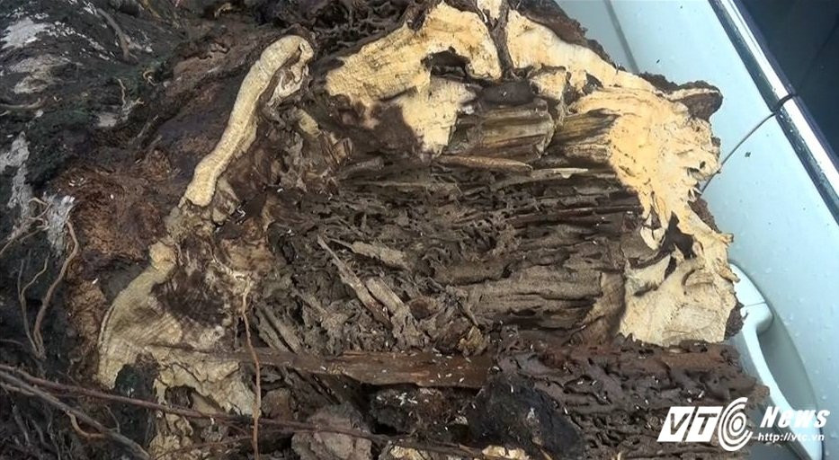 17554059_1011910698912126_6008816086970915917_n