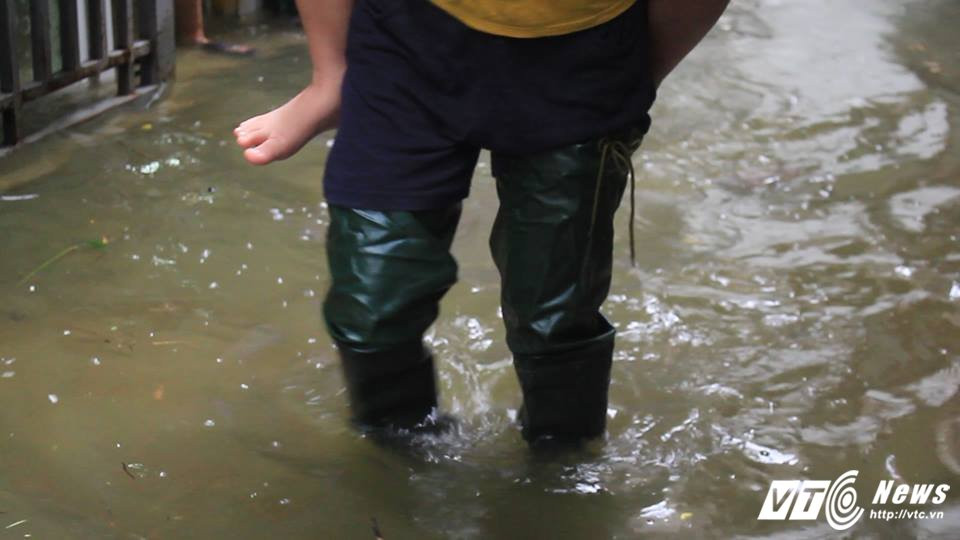 20136563_1752934851391084_64088778_n 9