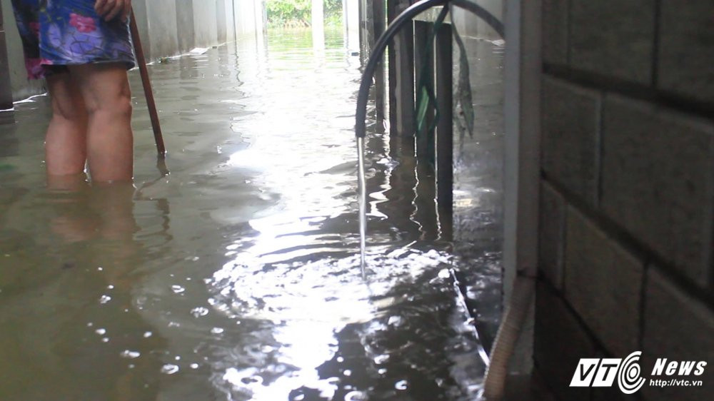 20182185_1752934858057750_1673935011_o 7