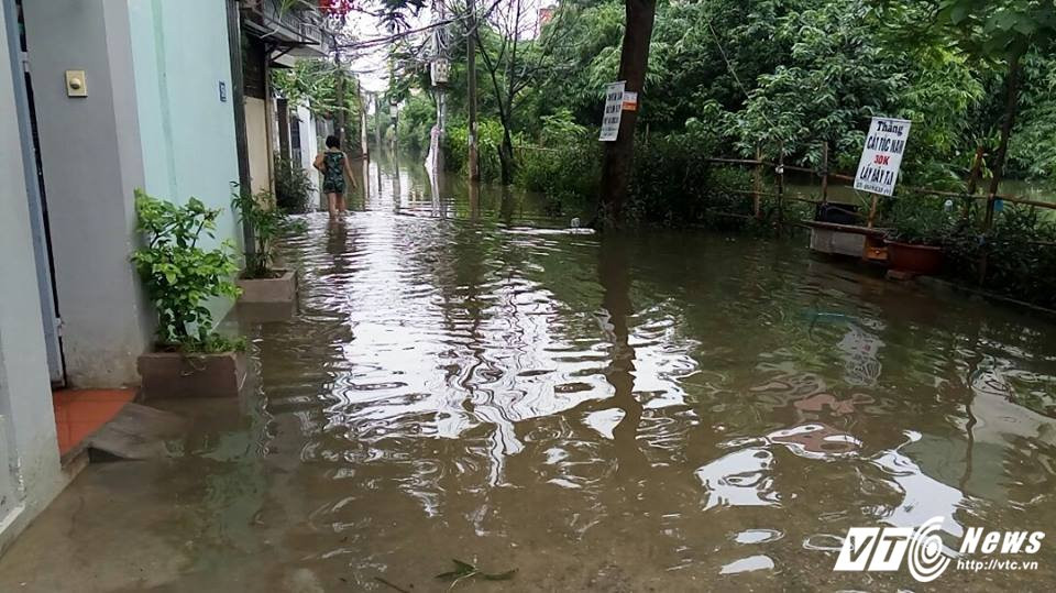 20187491_1752764844741418_71641931_n