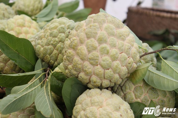 img_7478-5-13332310 6