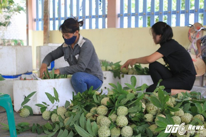 img_7527-9-1341112 7