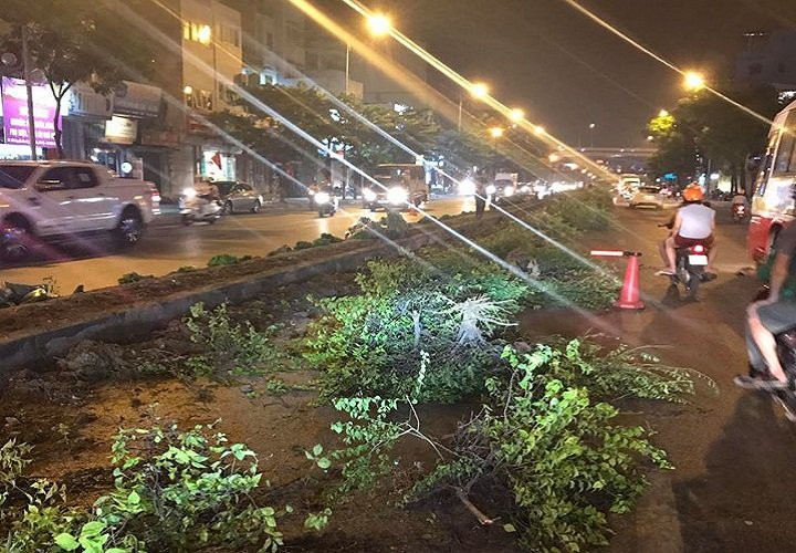 21032807_10211135031306298_1791822712833325770_n