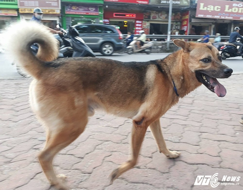 21729577_1315528485236098_849771210_o