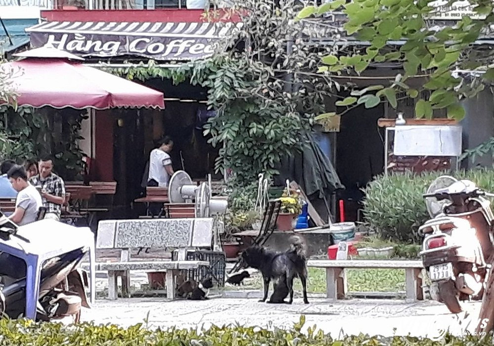 21733505_1315528578569422_1874272611_o 9