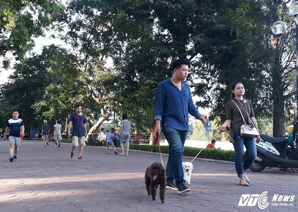 21733756_1315528811902732_1458322813_o 10