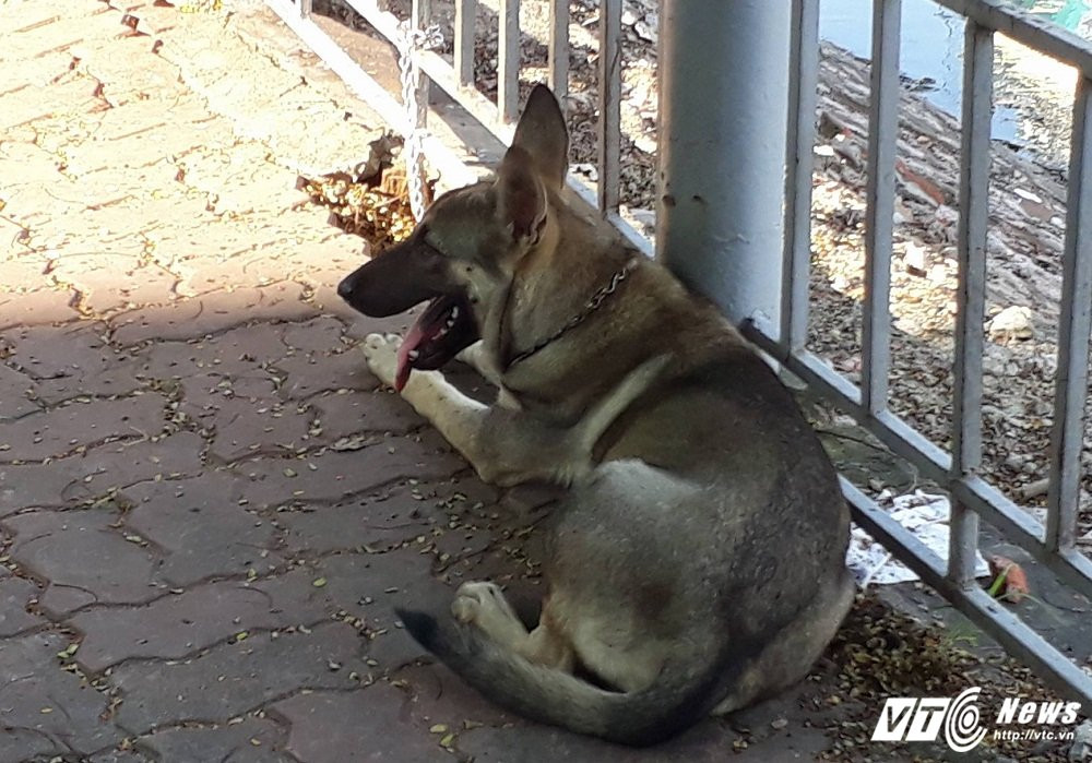 21742080_1315529078569372_2065848947_o 6