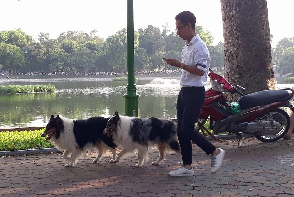 21742177_1315528681902745_1645012501_o 7