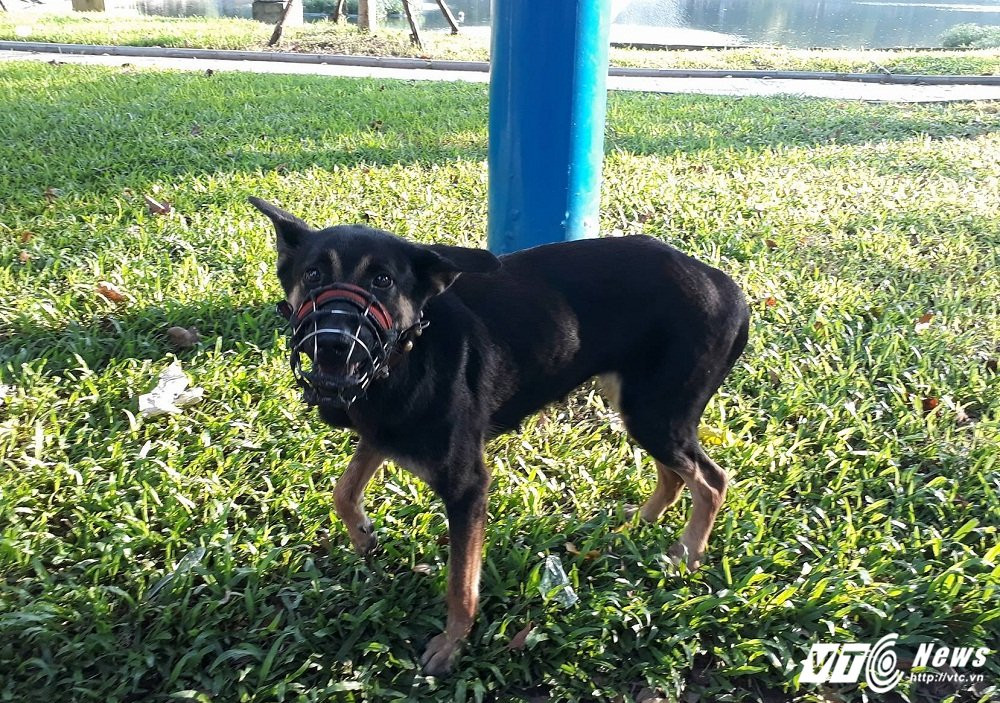 21754778_1315528721902741_1355660604_o 11