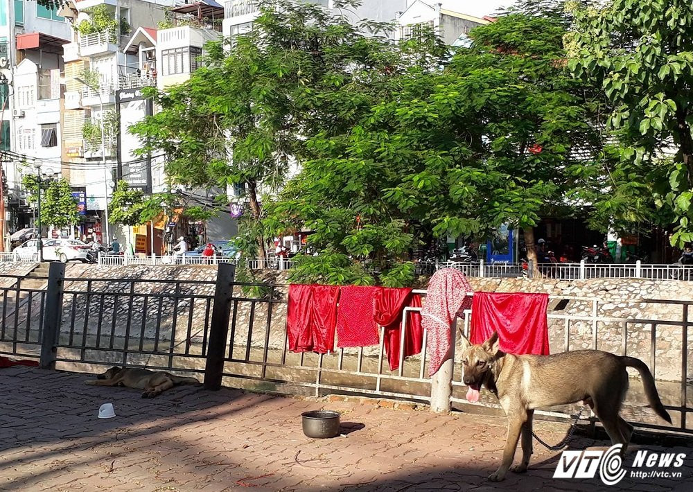 21764066_1315529021902711_421244321_o 5