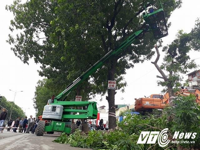 22551817_1344643255657954_96708490_n 7