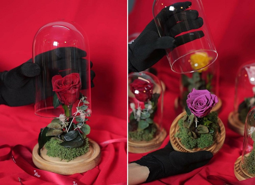 22489782_1543889149051273_7064556718127680387_n (2) 6