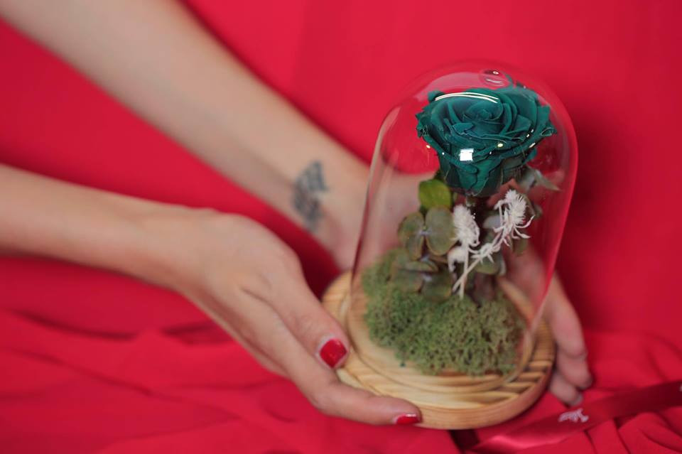 22489890_1543889075717947_3954289836900756859_n 5