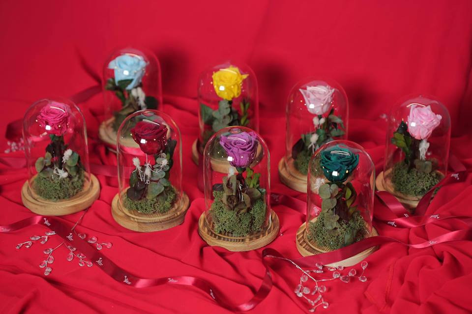 22519395_1543889329051255_292374936624627127_n 4